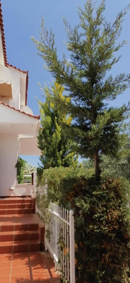 Ευχάριστη Βίλα Στη Χαλκίδα Στην Περιοχή "Αλυκές" Екстер'єр фото